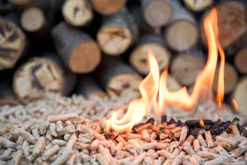 Wat is duurzaam biomassa