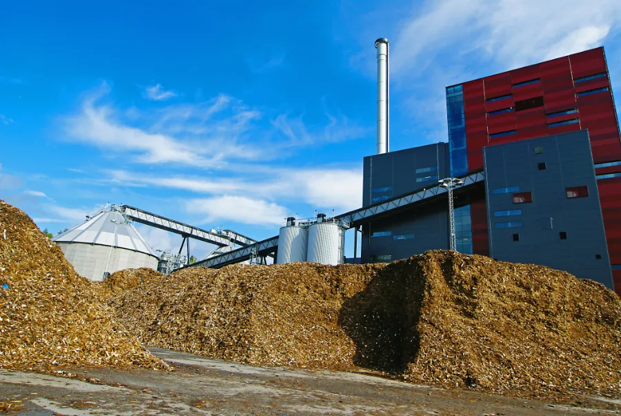 is biomassa duurzaam