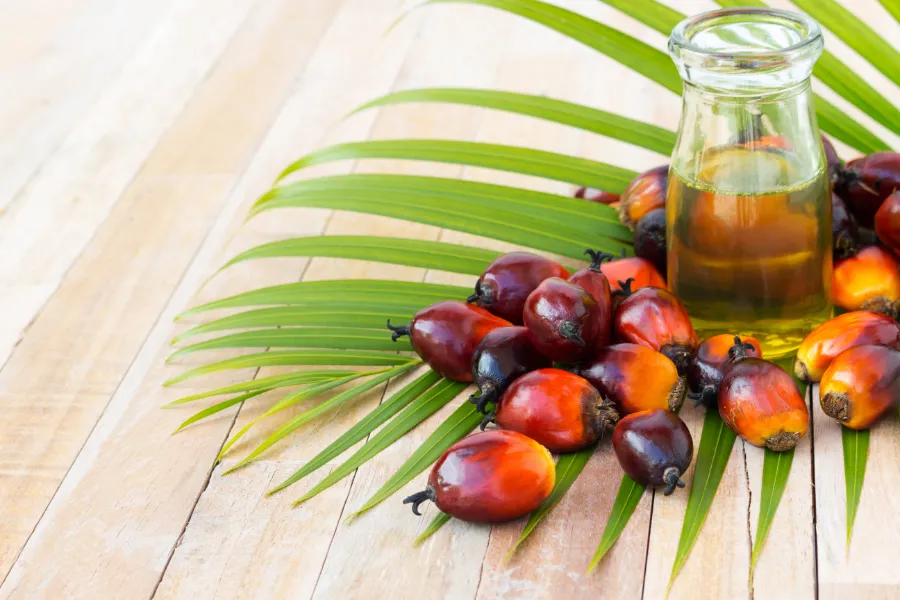 is palmolie duurzaam