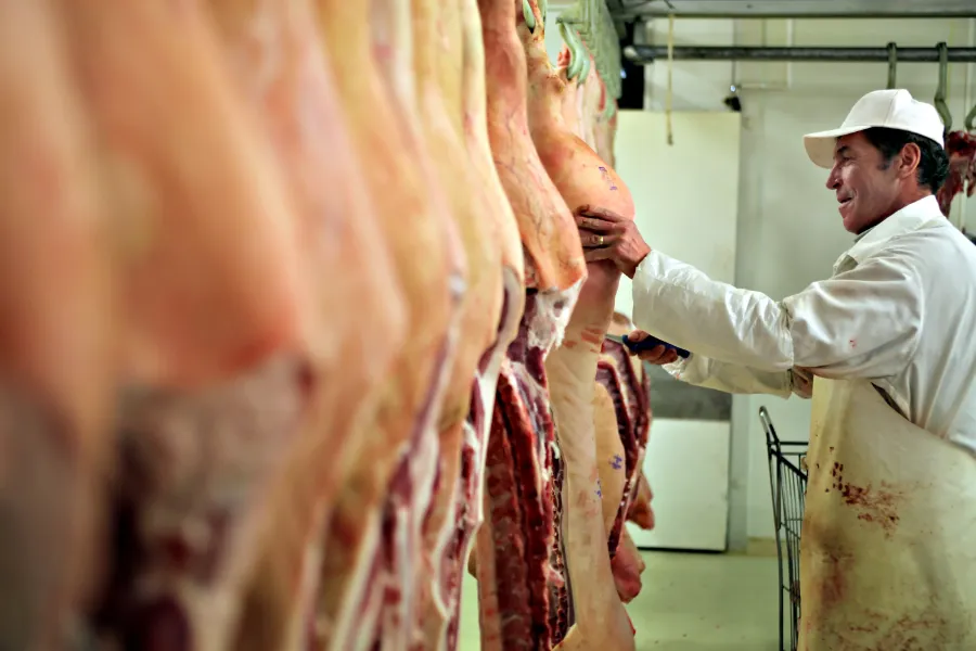 impact vleesindustrie op milieu vlees eten