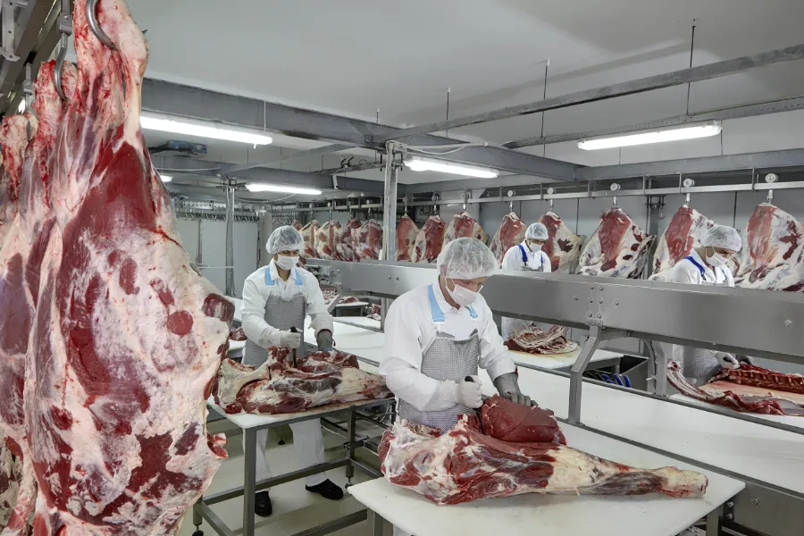 vleesindustrie milieu